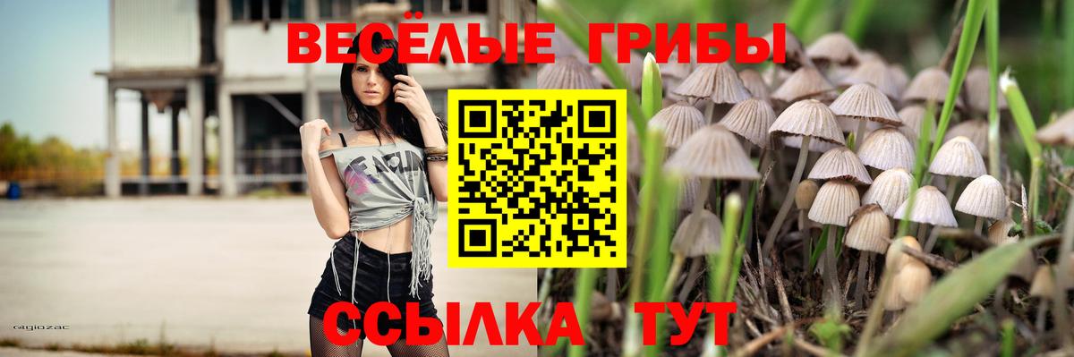 Галлюциногенные грибы прущие грибы  как найти закладки  Псилоцибиновые грибы ЛСД  Губкин  Вход с VPN 